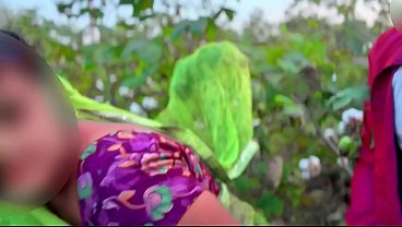 Stepsisters Meet in Cotton Field for Friendly Encounter